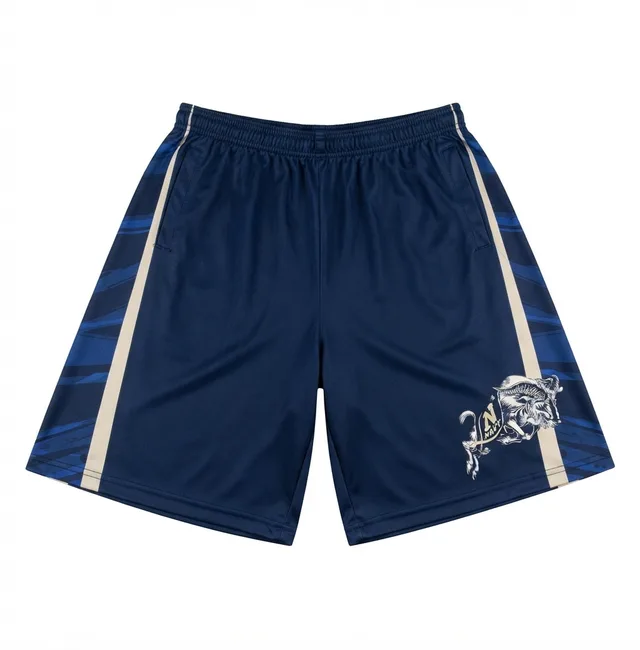 Navy & Pale Grey Custom Shorts